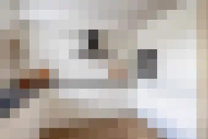 Noorderkroon 17 Lisse thumbnail 12