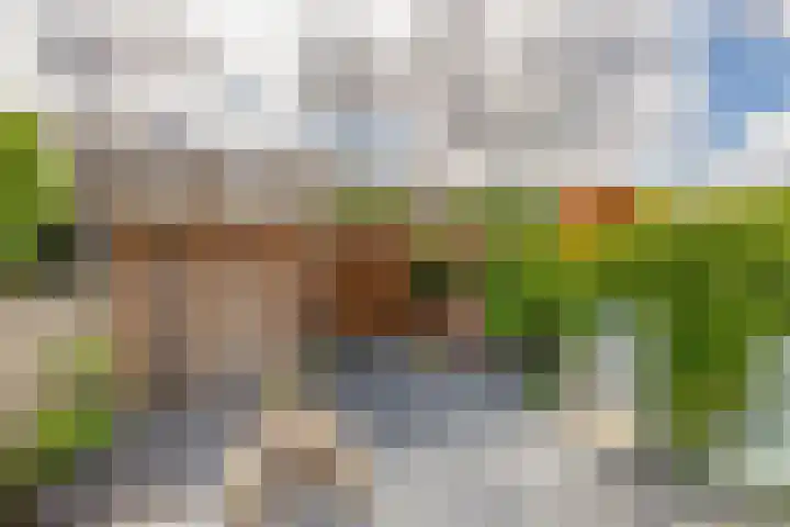 Noorderkroon 17 Lisse thumbnail 18