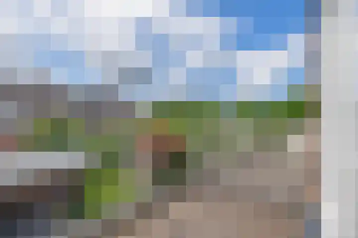 Noorderkroon 17 Lisse thumbnail 24