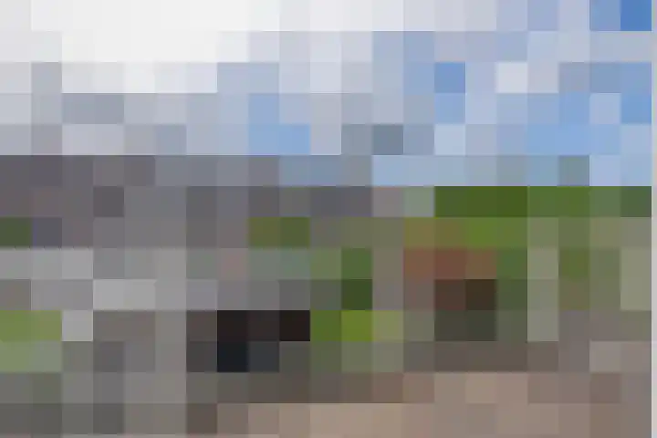 Noorderkroon 17 Lisse thumbnail 25