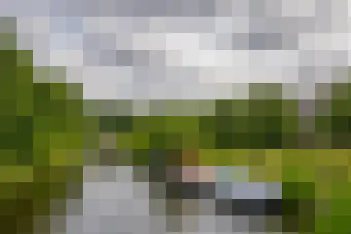 Noorderkroon 17 Lisse thumbnail 38