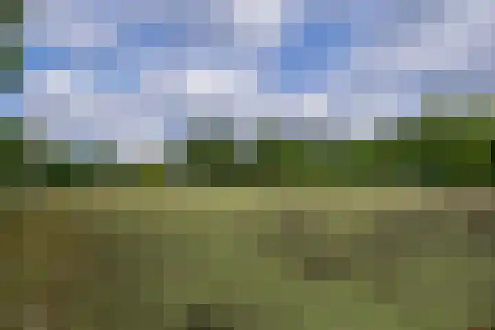Noorderkroon 17 Lisse thumbnail 39