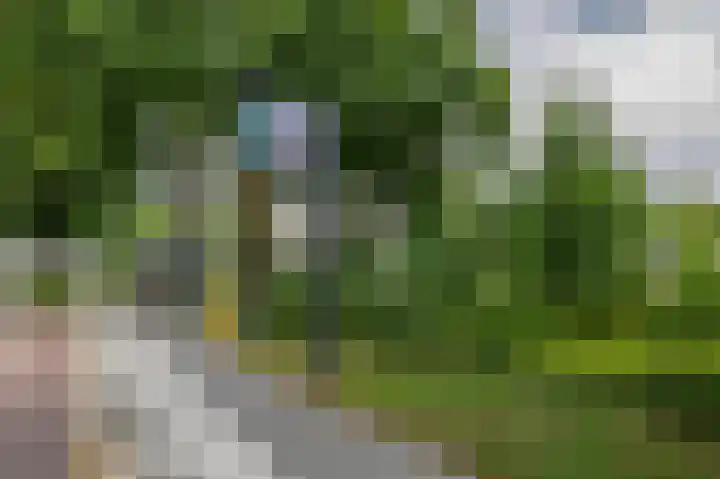 Noorderkroon 17 Lisse thumbnail 40