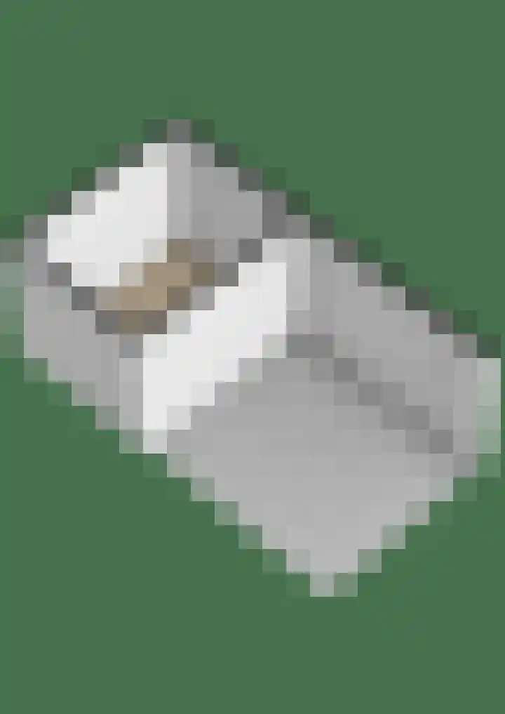 Noorderkroon 17 Lisse thumbnail 68