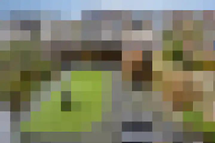Noorderkroon 2 Bleiswijk thumbnail 34