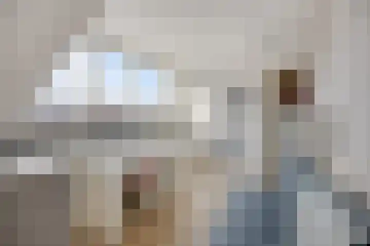 Noorderkroon 2 Bleiswijk thumbnail 43