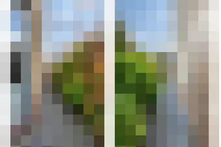 Noorderkroon 2 Bleiswijk thumbnail 46