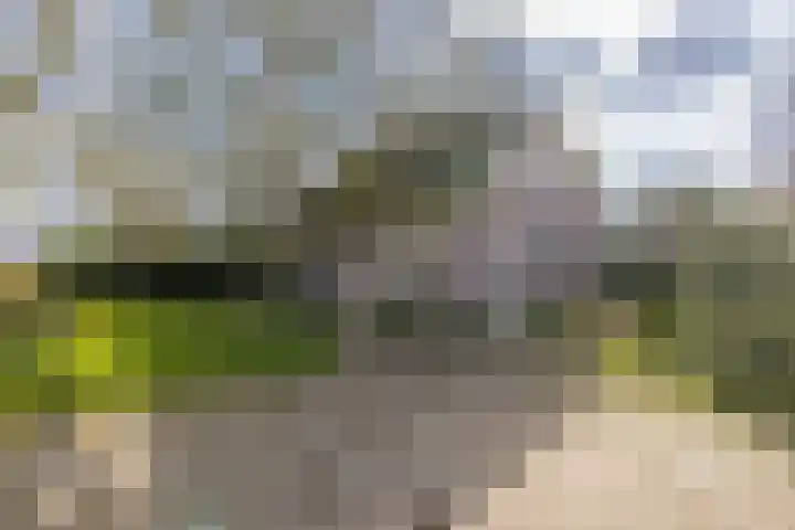 Noorderlaan 5 Hillegom thumbnail 30