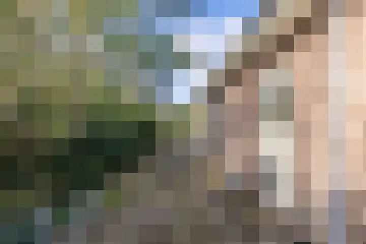 Noorderlaan 5 Hillegom thumbnail 32