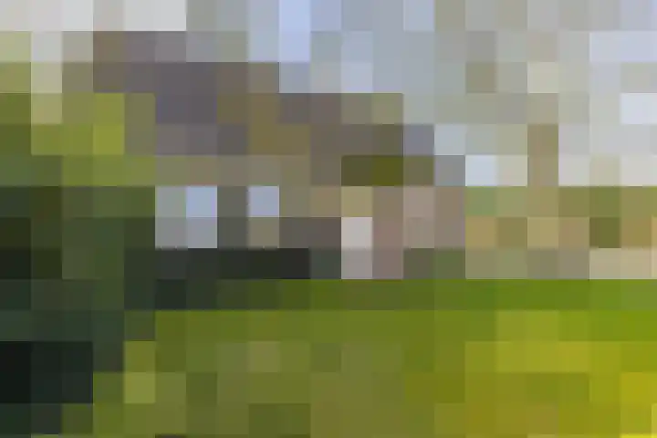 Noorderlaan 5 Hillegom thumbnail 37
