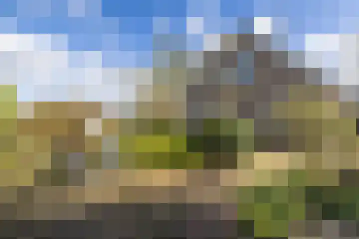 Noorderlaan 5 Hillegom thumbnail 39