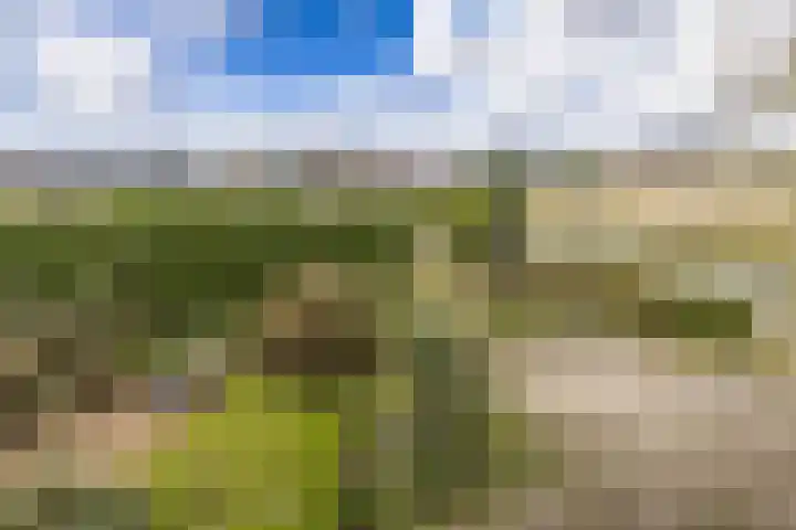 Noorderlaan 5 Hillegom thumbnail 4