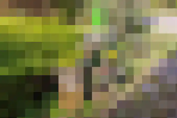 Noorderlaan 5 Hillegom thumbnail 44