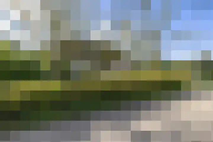 Noorderlaan 5 Hillegom thumbnail 47