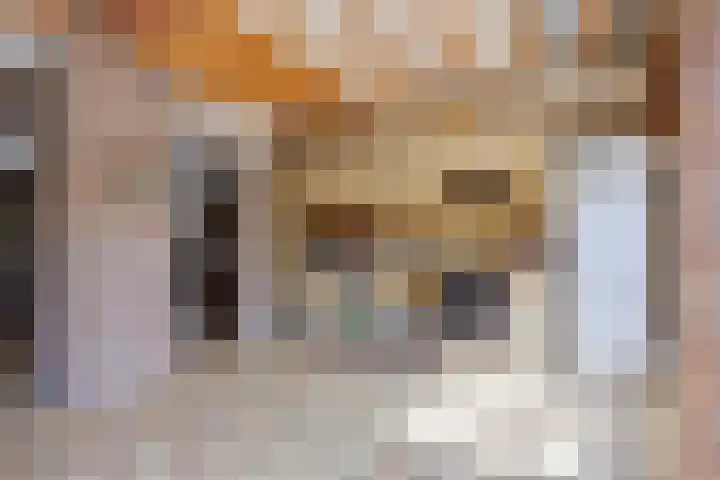 Noorderlaan 82 Weert thumbnail 11