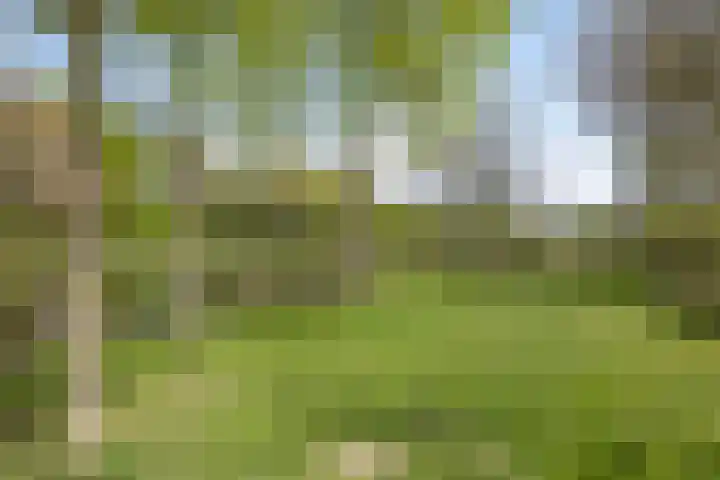 Noorderlaan 82 Weert thumbnail 29