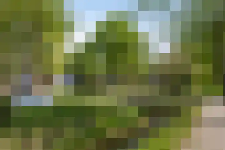 Noorderlaan 82 Weert thumbnail 30