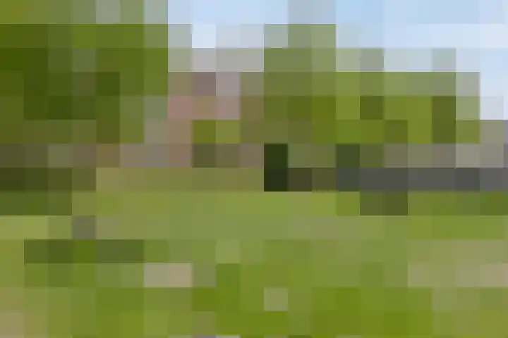 Noorderlaan 82 Weert thumbnail 31