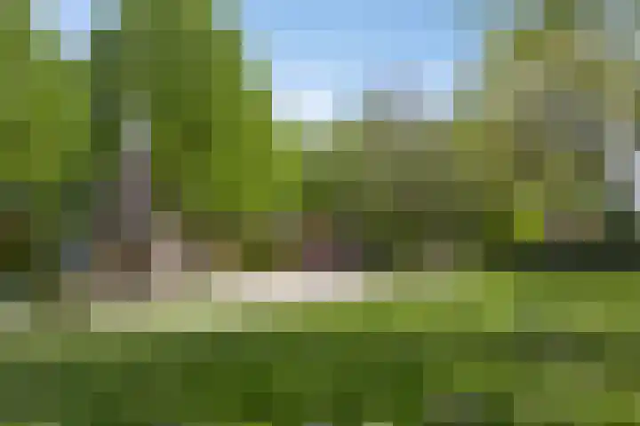 Noorderlaan 82 Weert thumbnail 32
