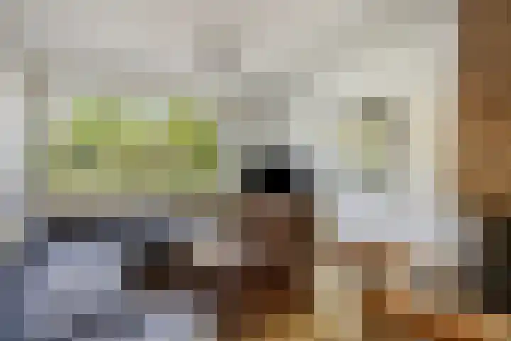 Noorderlaan 82 Weert thumbnail 8