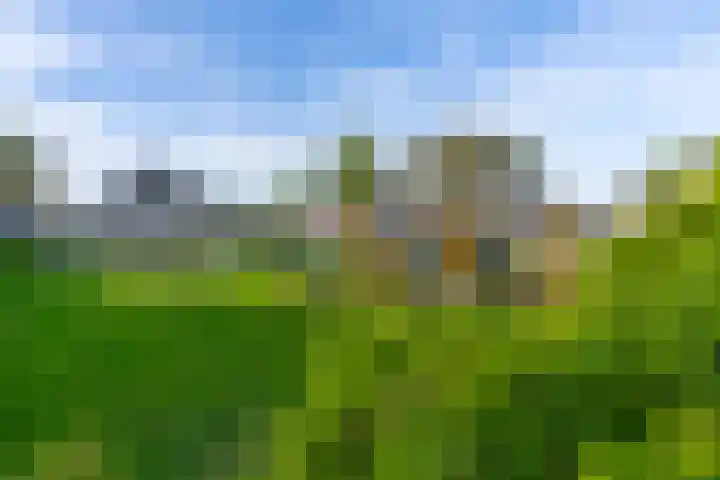 Noorderlicht 34 De Meern thumbnail 50