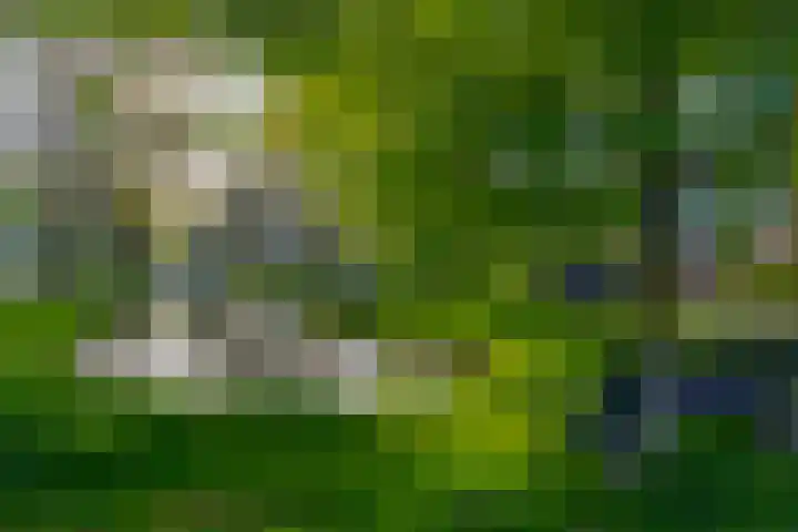 Noorderlicht 34 De Meern thumbnail 51
