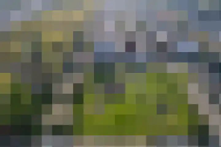 Noorderlicht 34 De Meern thumbnail 54