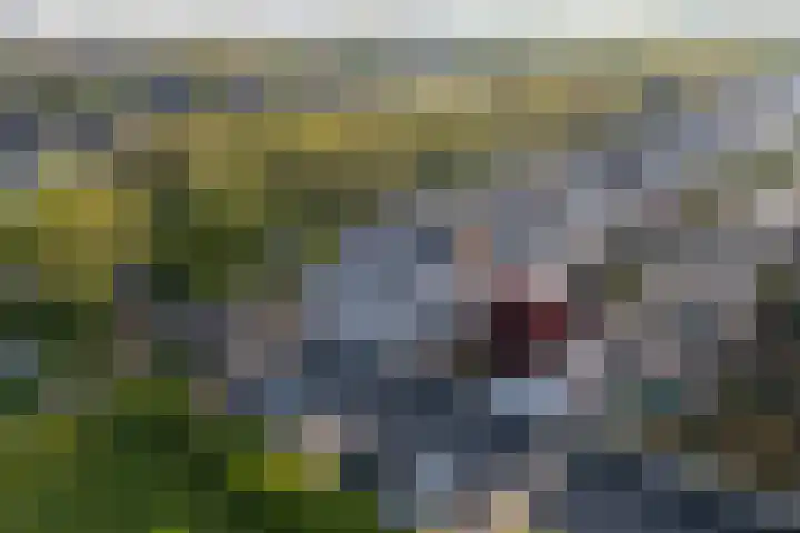 Noorderlicht 34 De Meern thumbnail 55