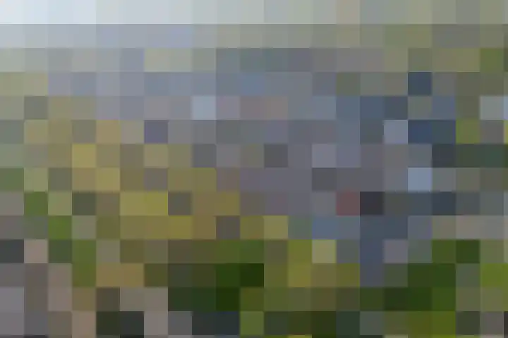 Noorderlicht 34 De Meern thumbnail 56