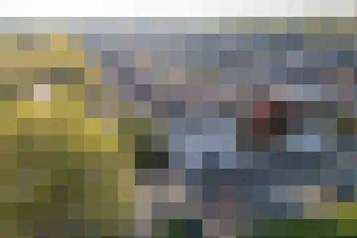 Noorderlicht 34 De Meern thumbnail 6