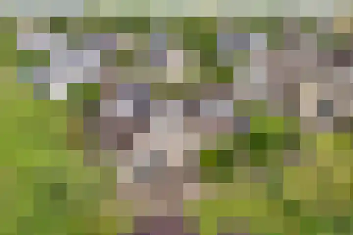 Logo van Noorderlicht Makelaars