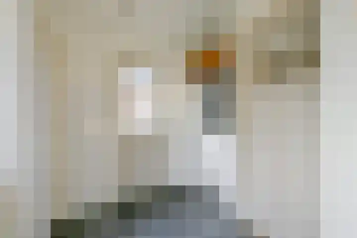 Noorderpad 53 Opperdoes thumbnail 14