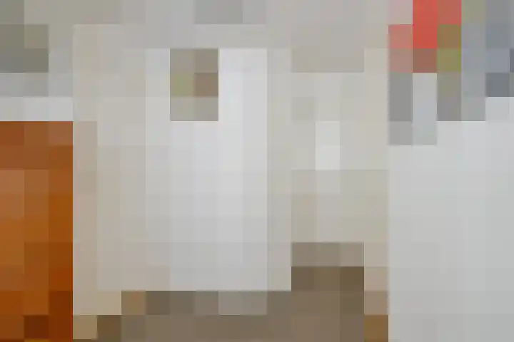 Noorderpad 53 Opperdoes thumbnail 17