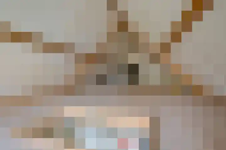 Noorderpad 53 Opperdoes thumbnail 37
