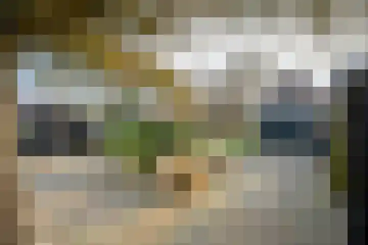 Noorderpad 53 Opperdoes thumbnail 4