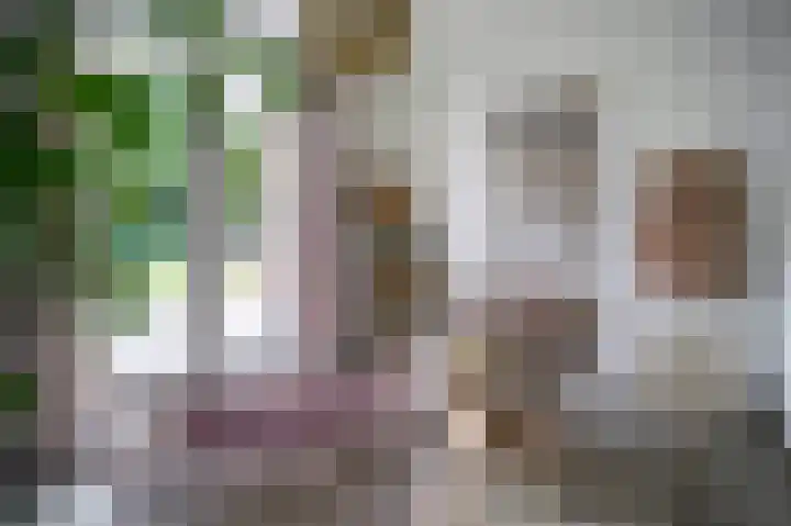 Noorderpad 6 Opperdoes thumbnail 19