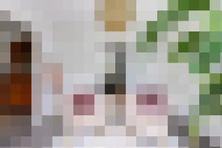 Noorderpad 6 Opperdoes thumbnail 21
