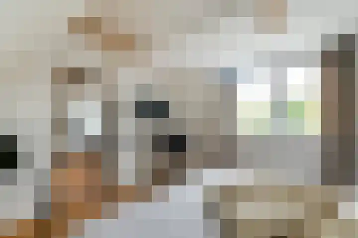 Noorderpad 6 Opperdoes thumbnail 32
