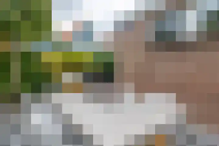 Noorderpad 6 Opperdoes thumbnail 38