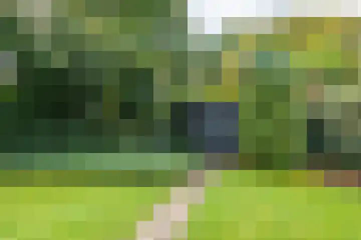 Noorderpad 6 Opperdoes thumbnail 39