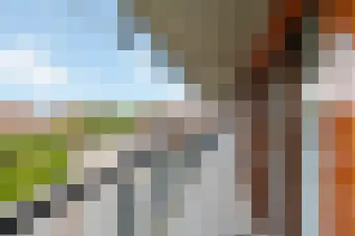 Noorderpoort 19 Echt thumbnail 7