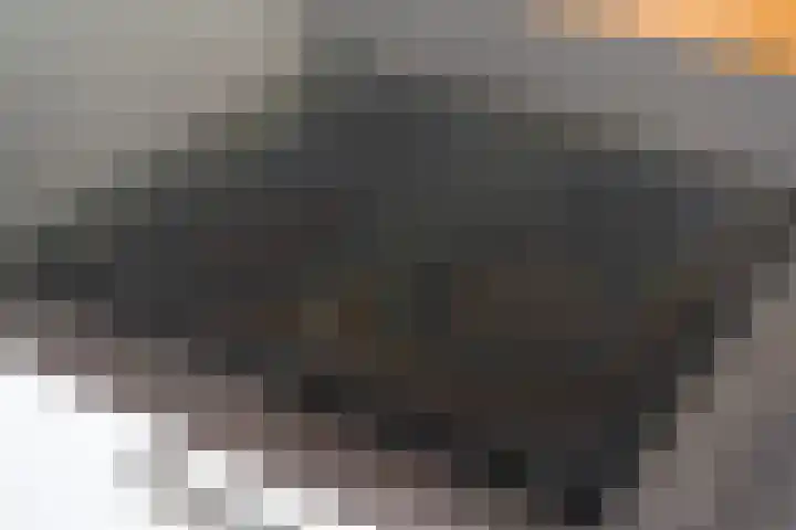Noorderrak 11 Sneek thumbnail 25