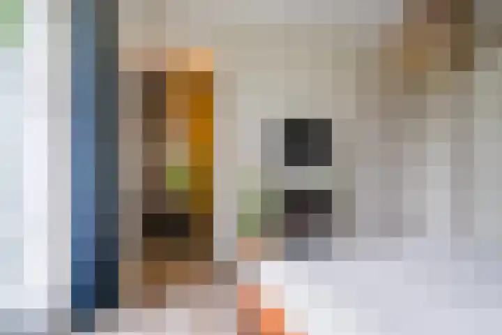 Noorderrak 11 Sneek thumbnail 31