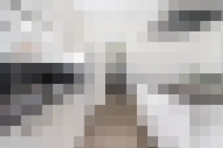 Noorderrak 11 Sneek thumbnail 4