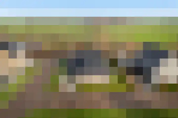 Noorderrak 11 Sneek thumbnail 5