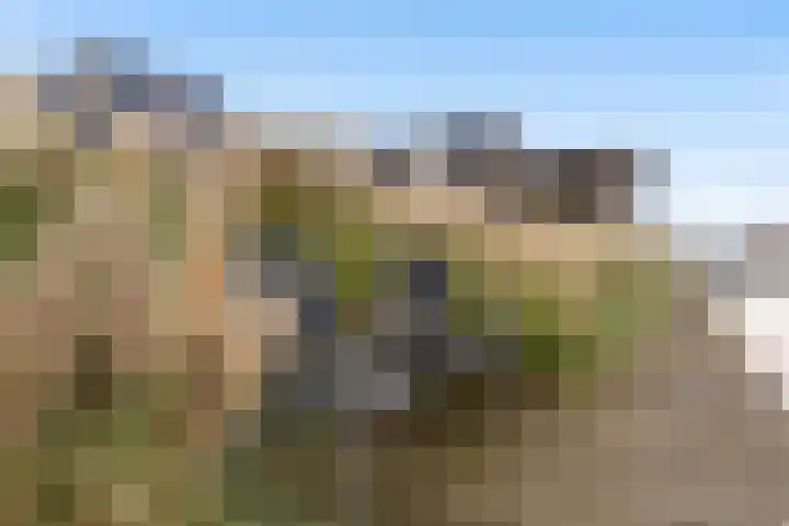 Noorderrak 11 Sneek thumbnail 61