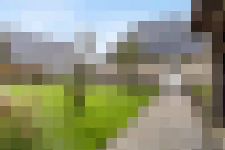 Noorderrak 11 Sneek thumbnail 64