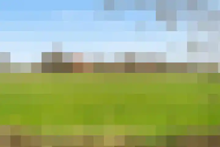 Noorderrak 11 Sneek thumbnail 69