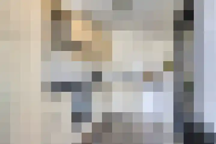 Noorderrand 33 Espel thumbnail 13