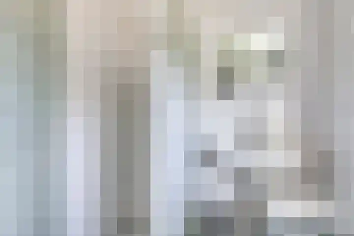 Noorderrand 33 Espel thumbnail 17